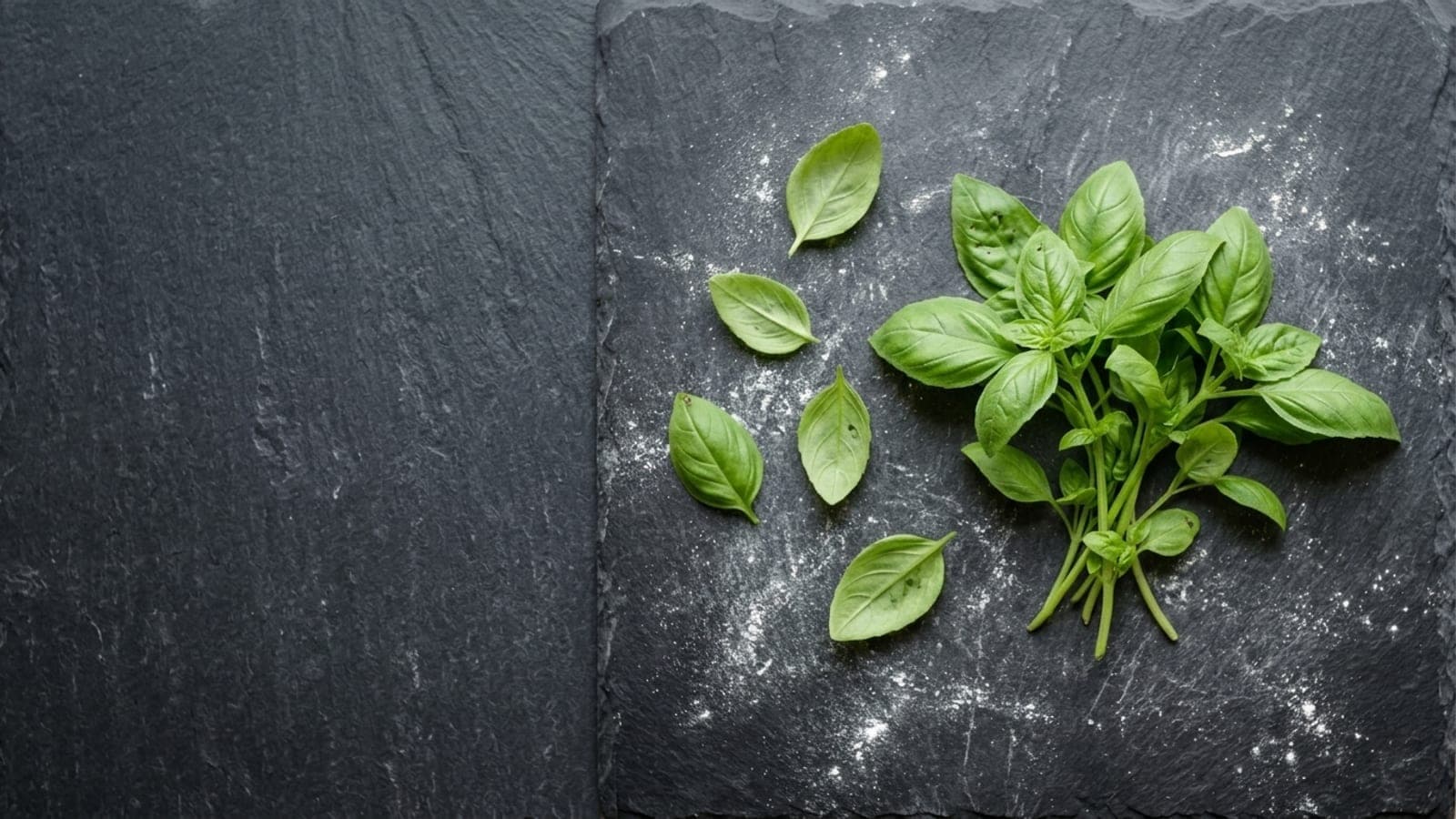 A small bunch of fresh basil with single leaves scattered beside it on dark slate
