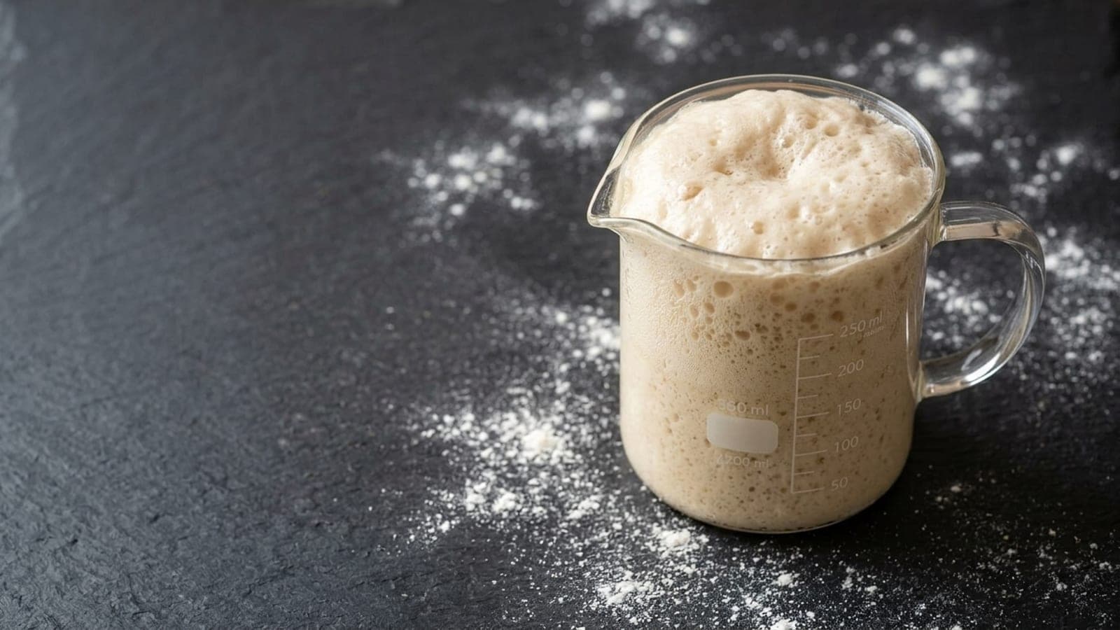 Foamy, freshly-activated yeast in a glass measuring jug on a floured dark slate counter.